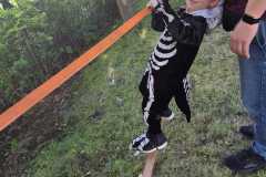 Zdjecie-WhatsApp-2025-06-03-o-20.31.31_91a3d839