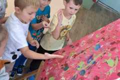 Zdjecie-WhatsApp-2025-09-15-o-13.55.10_12fe63ea
