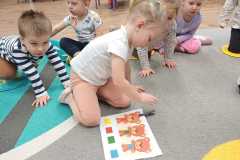 Zdjecie-WhatsApp-2025-11-25-o-11.46.30_357bd259