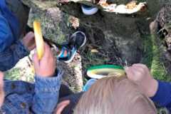 Zdjecie-WhatsApp-2025-09-19-o-13.13.29_2e469571