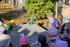 Zdjecie-WhatsApp-2025-11-03-o-18.31.27_e61d4bbc