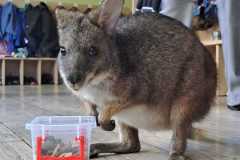 Zdjecie-WhatsApp-2025-10-29-o-16.04.48_17f980b0