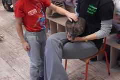 Zdjecie-WhatsApp-2025-10-29-o-16.08.19_74146430