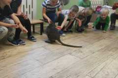 Zdjecie-WhatsApp-2025-10-29-o-16.42.06_61f1814b