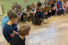 Zdjecie-WhatsApp-2025-10-30-o-06.24.27_6ef05c8f