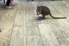 Zdjecie-WhatsApp-2025-10-30-o-06.24.27_f6376dd2