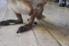 Zdjecie-WhatsApp-2025-10-30-o-19.27.55_3420288d