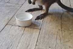 Zdjecie-WhatsApp-2025-10-30-o-19.28.53_84cffbb8