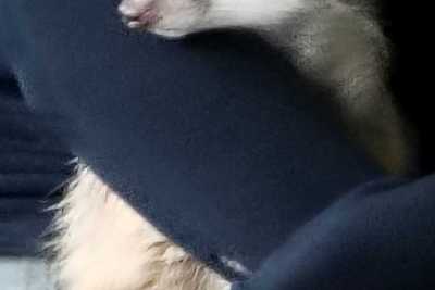s1