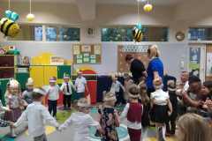 Zdjęcia Pszczółki - 2