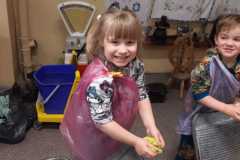 IMG-20250409-WA00201