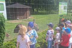 Zdjecie-WhatsApp-2025-06-12-o-14.37.56_7827f235