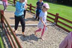 Zdjecie-WhatsApp-2025-06-12-o-17.24.42_996c40a1