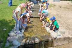 Zdjecie-WhatsApp-2025-06-12-o-18.04.29_a778b9c8