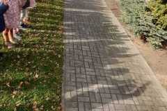 Zdjecie-WhatsApp-2025-11-14-o-22.04.52_ed1f6d20