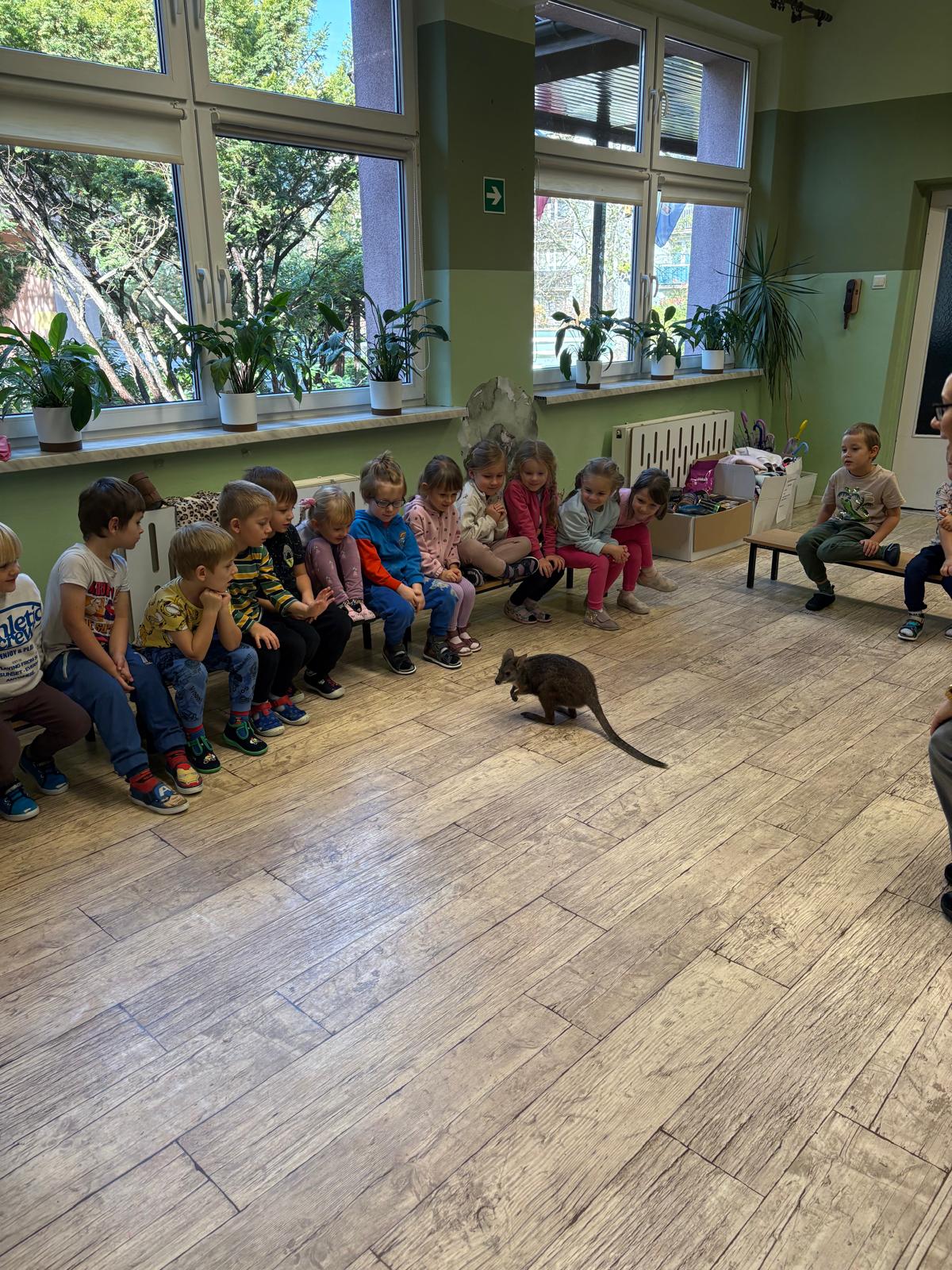 ODLOTOWE POKAZY – MINI KANGUR