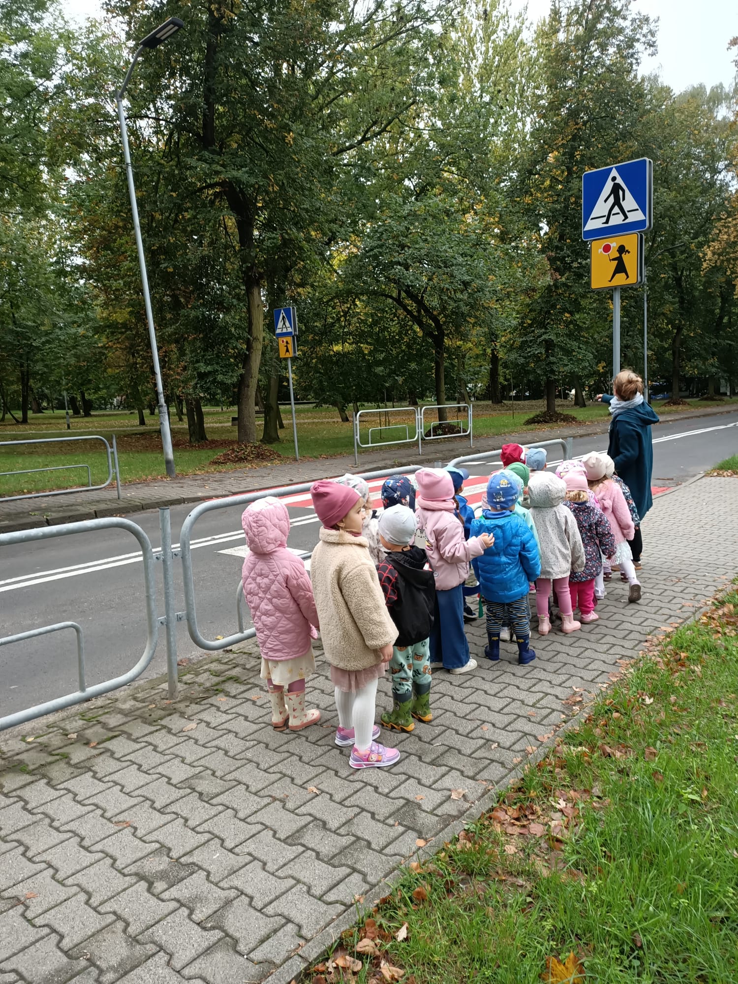 Motylkowa nauka bezpieczeństwa na drodze